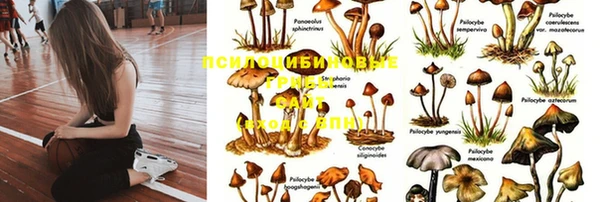 мескалин Балахна