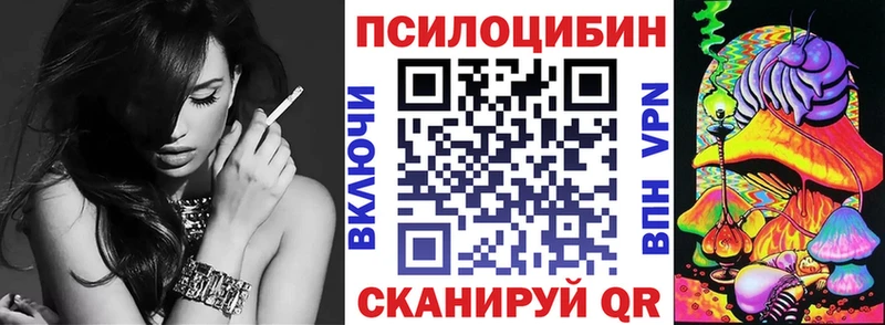 сколько стоит  Пересвет  Галлюциногенные грибы Psilocybe 